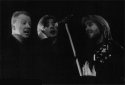 BEE GEES thumb.jpg (2092 bytes)
